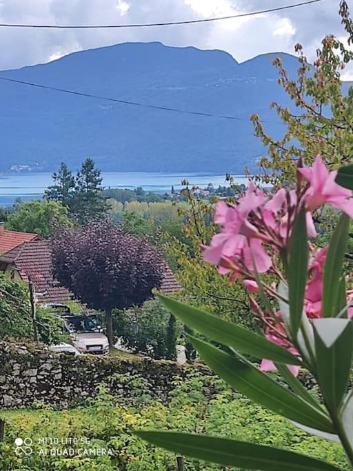 Du Vent Dans Les Arbres -120M2 Belle Vue Sur Le Lac Chindrieux Eksteriør bilde