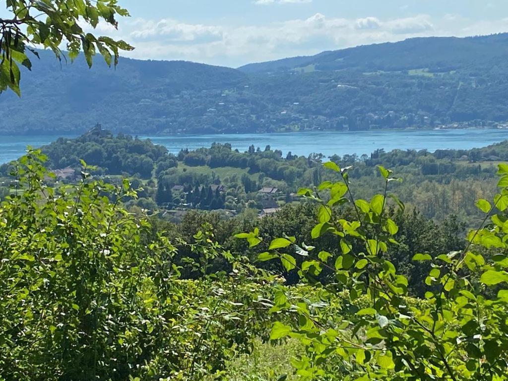 Du Vent Dans Les Arbres -120M2 Belle Vue Sur Le Lac Chindrieux Eksteriør bilde